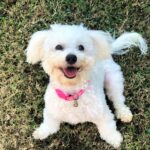 dena simard fq4mvA xJak unsplash