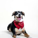 kabo 9Iod 2fmhu4 unsplash