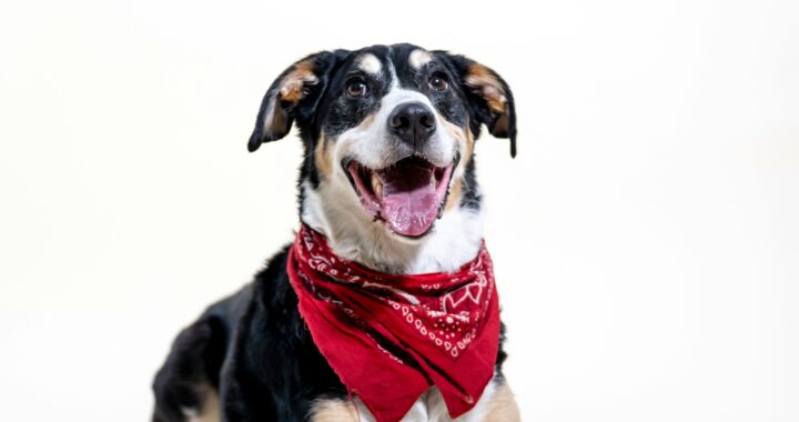 kabo 9Iod 2fmhu4 unsplash