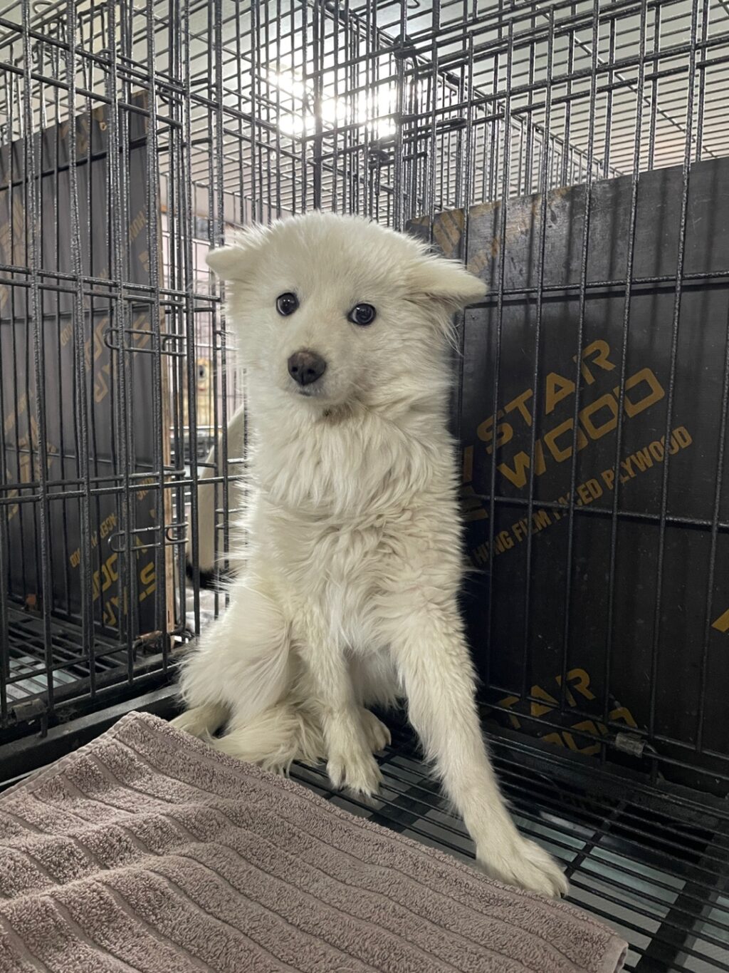 neugle pet 경남 밀양 2026 00167