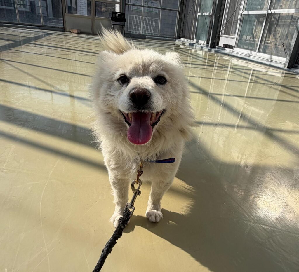 neugle pet 경남 사천 2026 00062