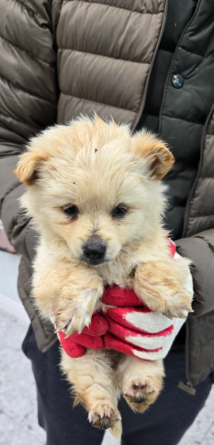 neugle pet 경남 합천 2026 00116