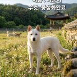 neugle pet 경북 성주 2026 00100