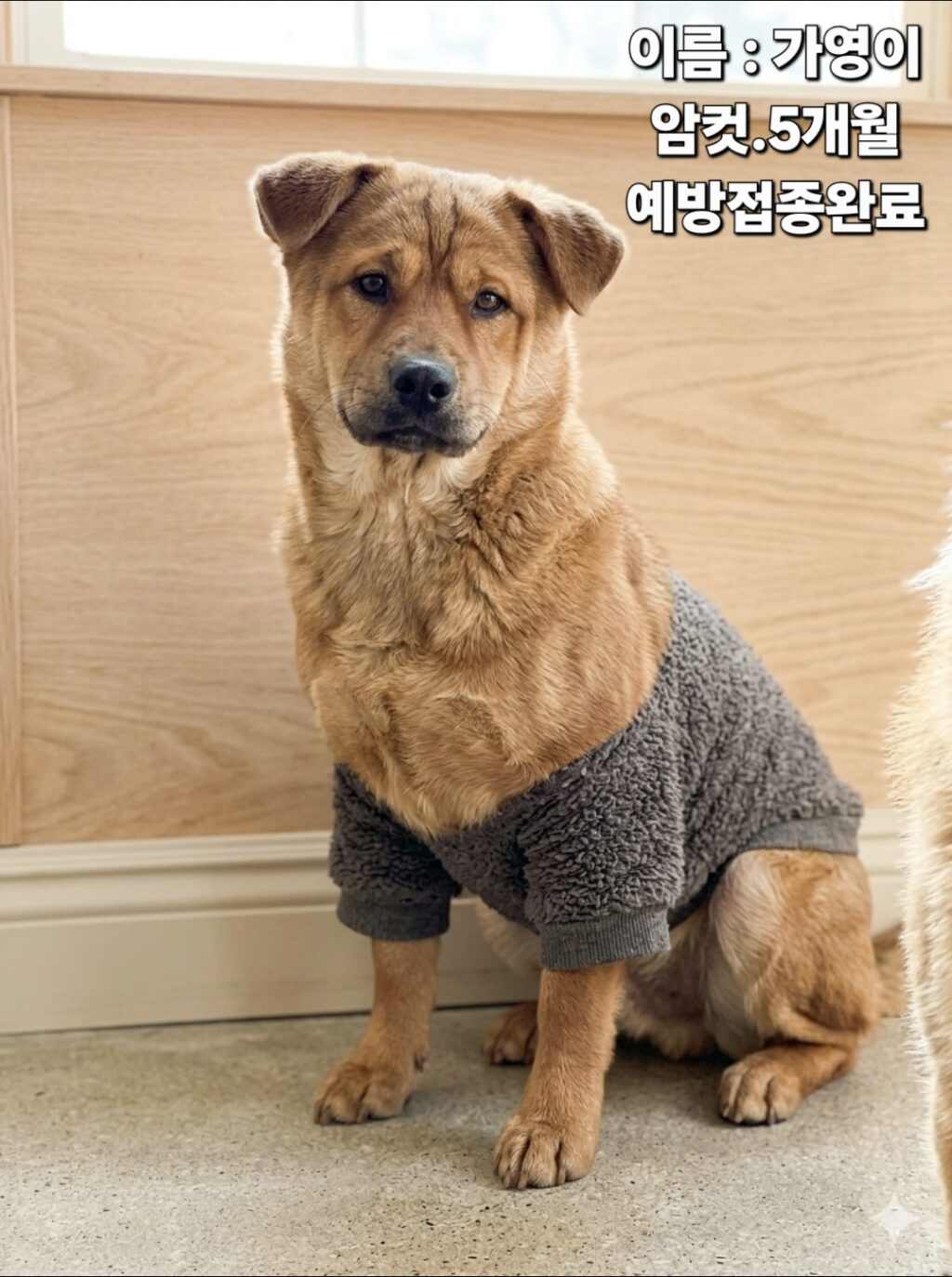 neugle pet 경북 성주 2026 00104