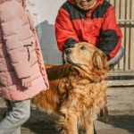 긴급상황! 내 주변 유기견, 어디로 데려가야 생존율이 가장 높을까? (빅데이터 기반 전국 보호소 위치 및 등급 분석) 6 pet UVi9rJgqHEM