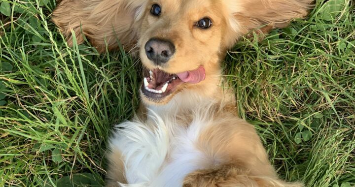 photo 1588943211346 0908a1fb0b01