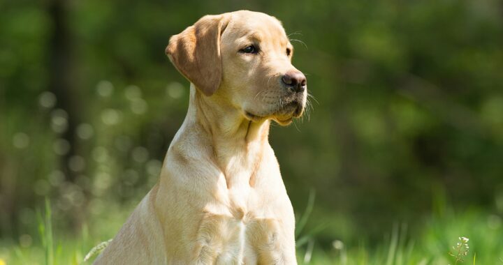 vincent van zalinge vRNcSWIElE4 unsplash 1