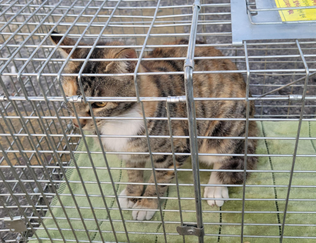 스크린샷 2026 03 20 014924