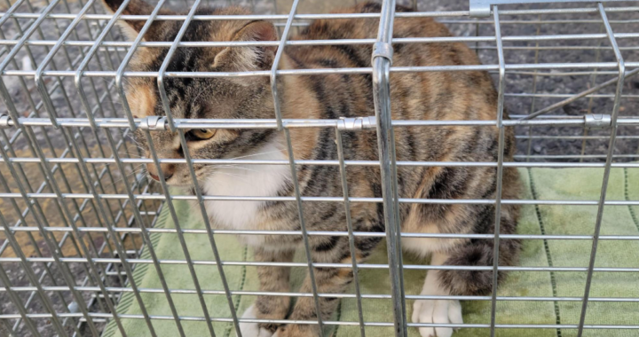 스크린샷 2026 03 20 014924