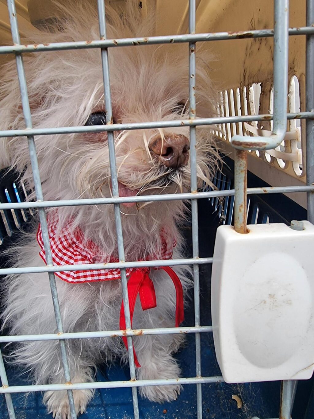 neugle pet 경남 거제 2026 00141