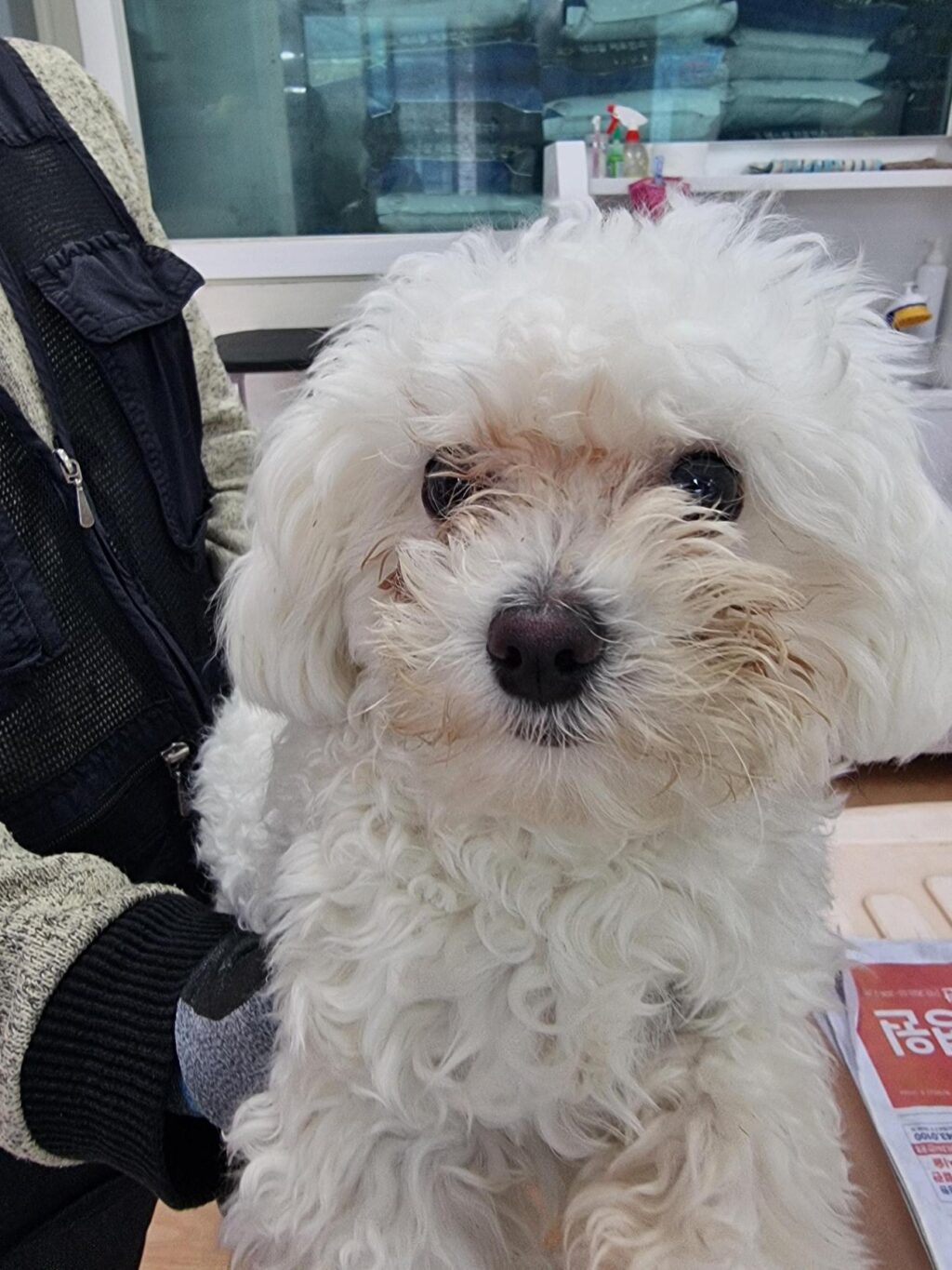 neugle pet 경남 거제 2026 00169