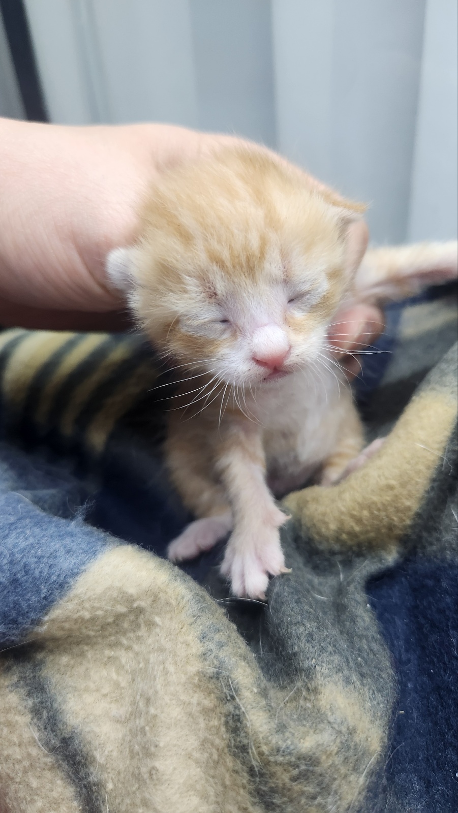 neugle pet 경남 거창 2026 00092