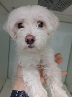 neugle pet 경남 남해 2026 00052 rotated