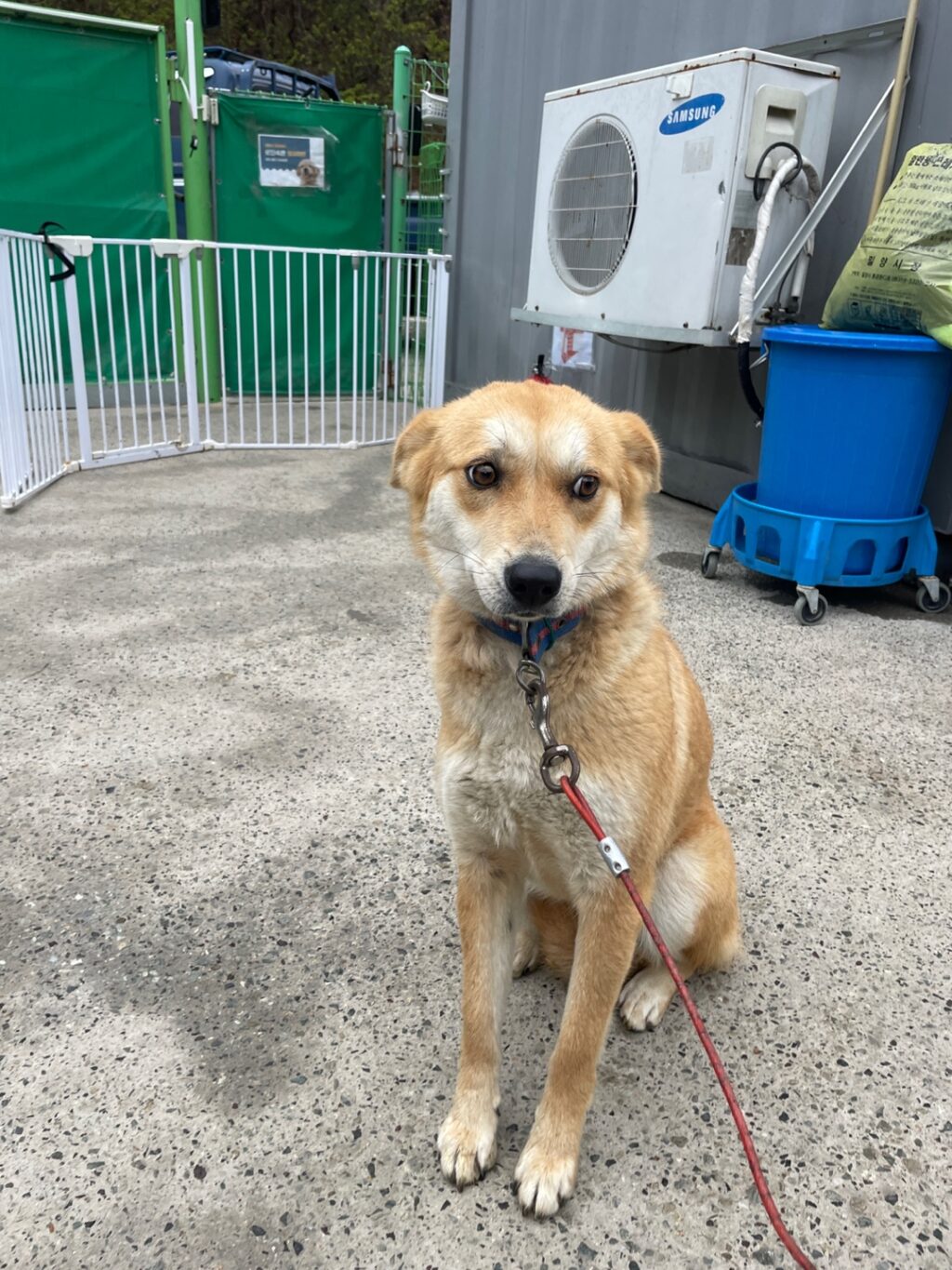 neugle pet 경남 밀양 2026 00198