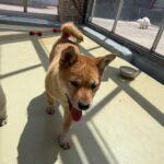 neugle pet 경남 사천 2026 00105