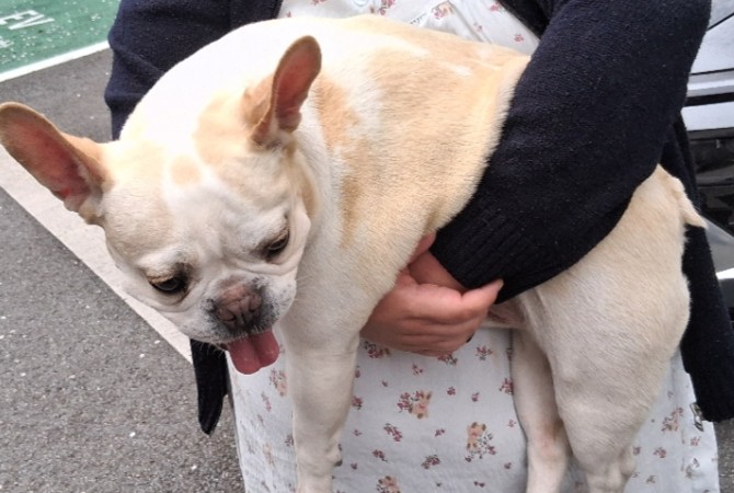 neugle pet 경남 창원1 2026 00197