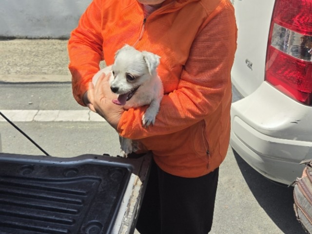 neugle pet 경남 창원1 2026 00262