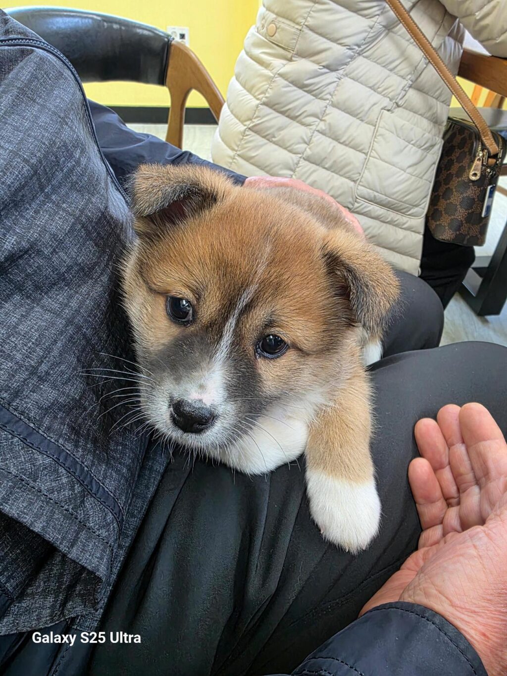 neugle pet 경남 통영 2026 00040