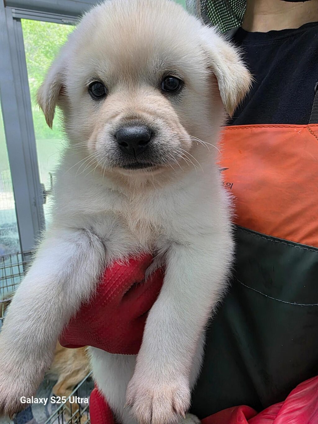 neugle pet 경남 통영 2026 00056