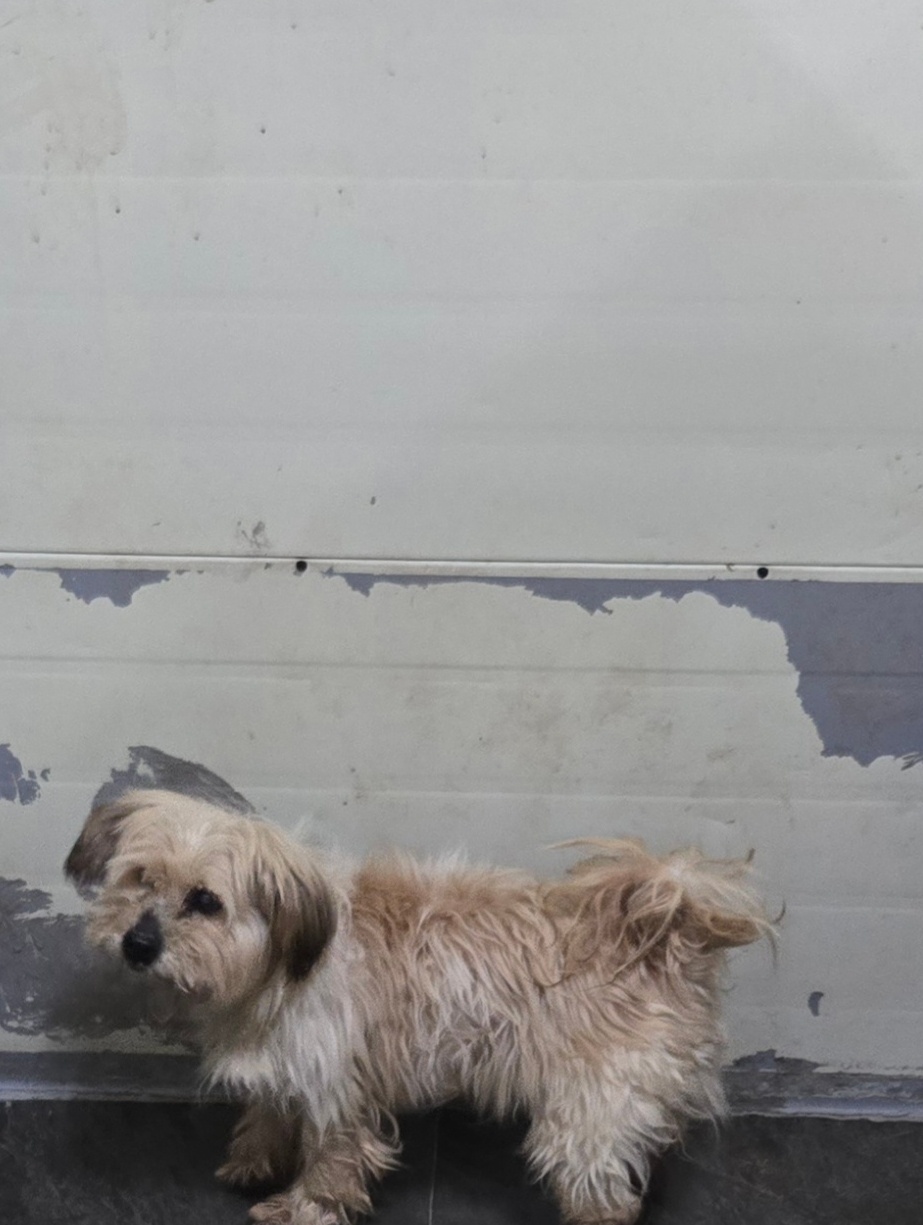 neugle pet 경남 합천 2026 00170