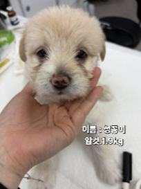 neugle pet 경북 성주 2026 00133