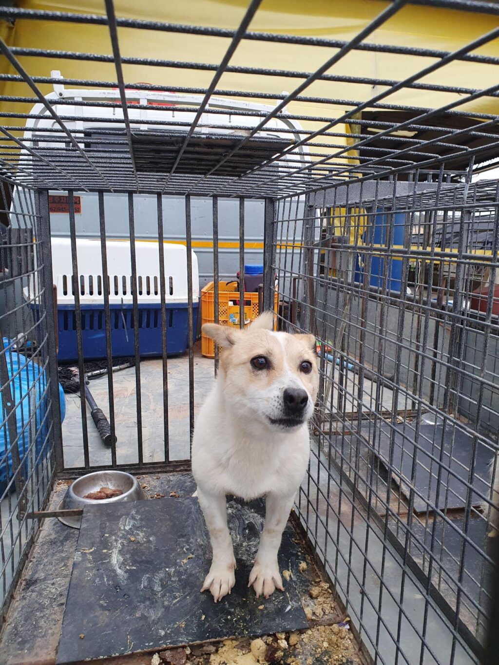 neugle pet 전남 함평 2026 00130